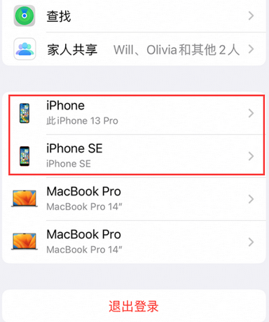 丽江苹丽江果维修网点分享iPhone如何查询序列号