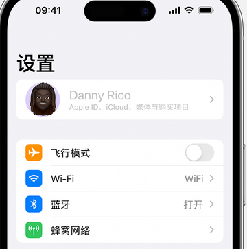 丽江appleID维修服务iPhone设置中Apple ID显示为灰色无法使用 