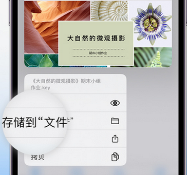 丽江apple维修中心分享iPhone文件应用中存储和找到下载文件