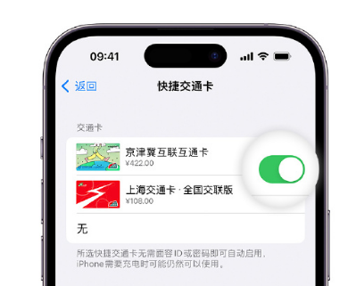 丽江apple维修点分享iPhone上更换Apple Pay快捷交通卡手绘卡面 