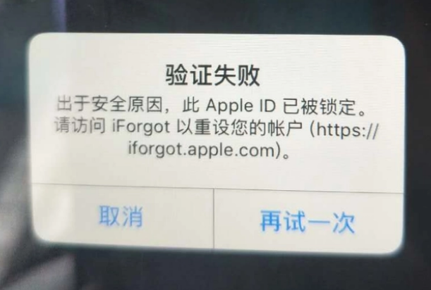 丽江iPhone维修分享iPhone上正常登录或使用AppleID怎么办 