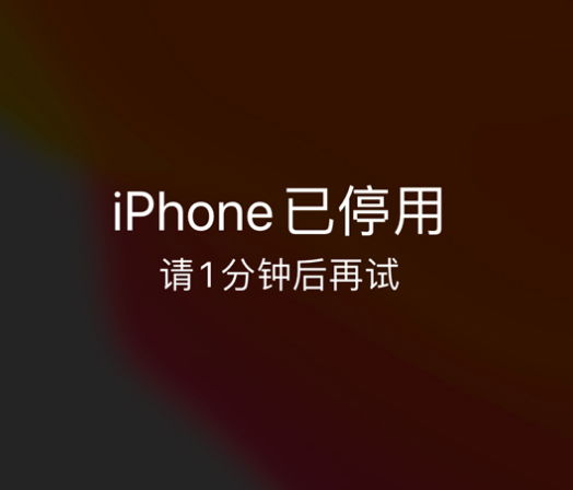 丽江苹果手机维修分享:iPhone 显示“不可用”或“已停用”怎么办？还能保留数据吗？ 