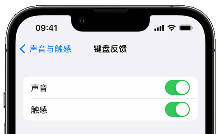 丽江苹果手机维修分享iPhone 14触感键盘使用方法 