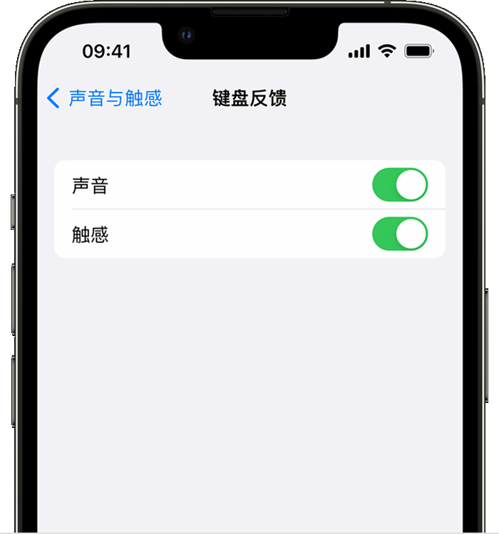 丽江苹果14维修店分享如何在 iPhone 14 机型中使用触感键盘 