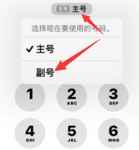 丽江苹果14维修店分享iPhone 14 Pro Max使用副卡打电话的方法 