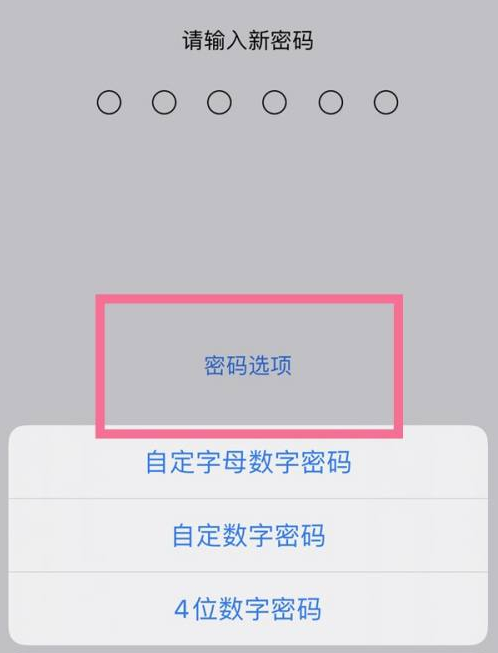 丽江苹果14维修分享iPhone 14plus设置密码的方法 