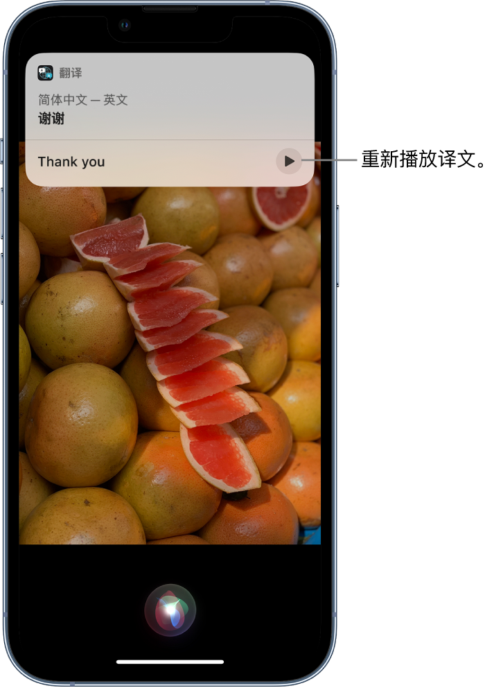 丽江苹果14维修分享 iPhone 14 机型中使用 Siri：了解 Siri 能帮你做什么 