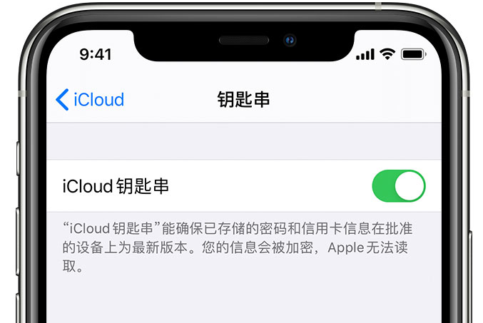 丽江苹果手机维修分享在 iPhone 上开启 iCloud 钥匙串之后会储存哪些信息 