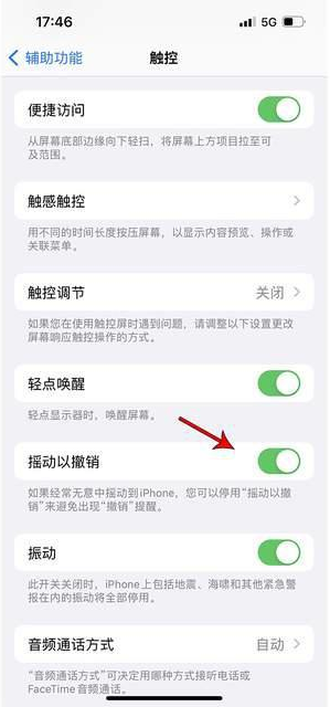 丽江苹果手机维修分享iPhone手机如何设置摇一摇删除文字 