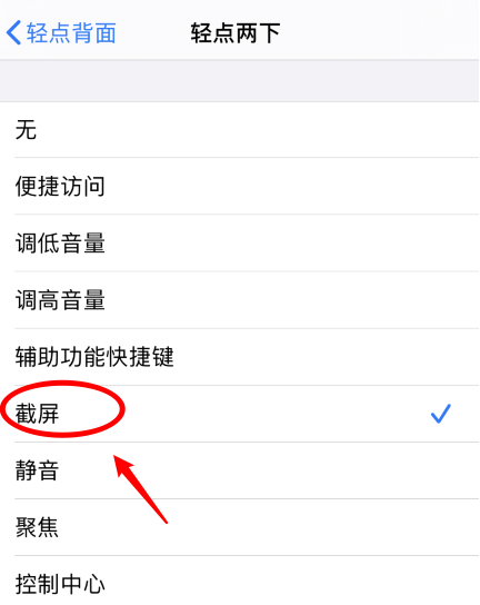 丽江苹果手机维修分享iPhone12如何启用双击截屏 